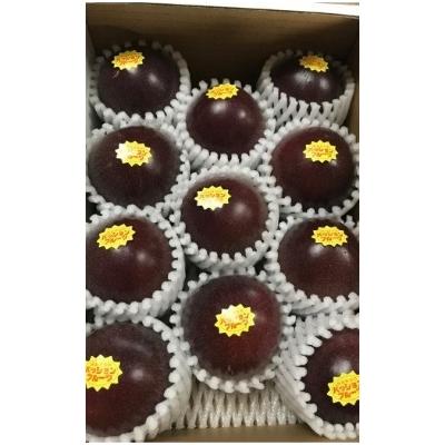 ふるさと納税 糸満市 【2026年発送】JAおきなわ糸満支店で厳選した「パッションフルーツ」<家庭用>約1kg |  | 03