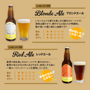H01002　モンキーマウンテン　クラフトビール　6種飲み比べセット