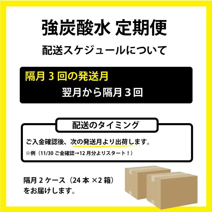 【定期便】（隔月）3回定期便 強炭酸水（500ml）2ケース（計48本）Q036-002 炭酸 飲料