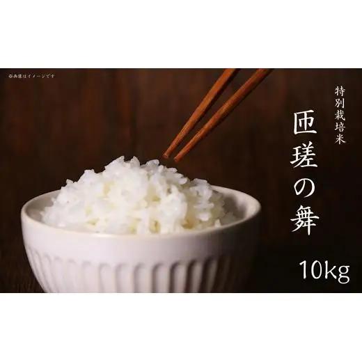 令和7年産　米　10kg　匝瑳の舞　精米 ／ お米 コメ こめ ごはん ふさこがね 白米 精米 10kg チバエコ 特別栽培 千葉県 匝瑳市