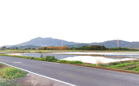 令和7年産 市左衛門農場コシヒカリ5kg 