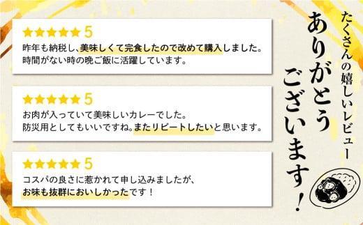 飛騨牛カレー (25袋) | 訳あり 飛騨牛 肉 牛 カレー ビーフカレー 簡易包装 レトルトカレー 人気 おすすめ おいしい 便利 飛騨高山 ふるさと清見 DC008VC13