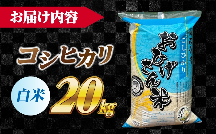 お米 20kg 20キロ 白米 精米 愛知県産 国産米 コシヒカリ 国産
