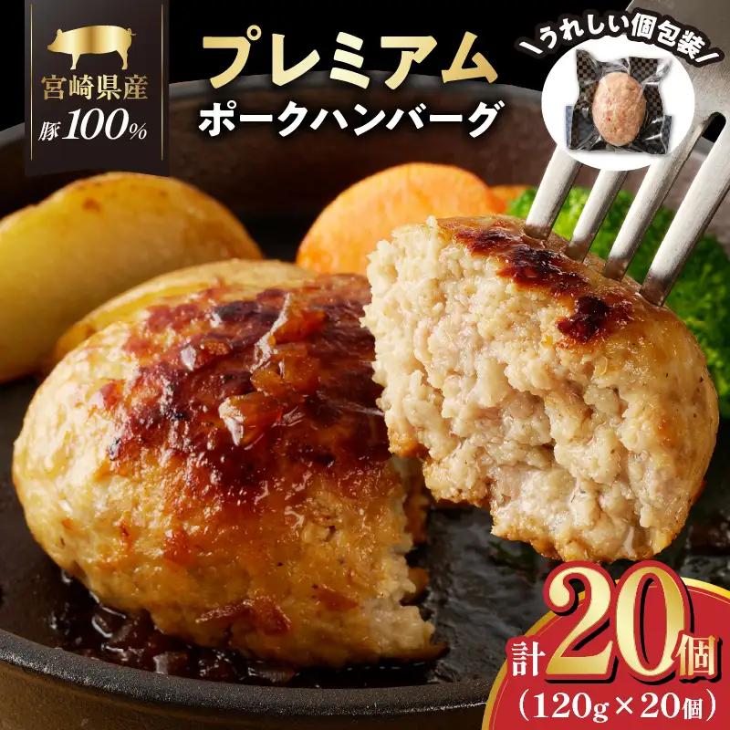 【ふるなび限定】宮崎県産豚プレミアムハンバーグ(計20個) 肉 豚肉 加工品 惣菜 国産_T001-0125