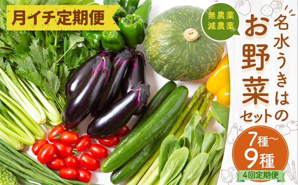 【月イチ定期便】UIC 名水うきはのお野菜セット (ひと月1箱×4か月=計4回)