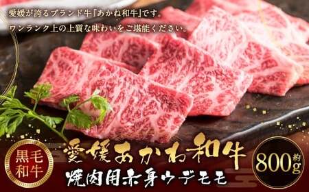 愛媛あかね和牛 焼肉用 赤身 ウデ モモ（約800g）国産 和牛 牛肉 バーベキュー 肉 お肉 【えひめの町（超）推し！（松前町）】（746）