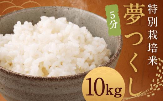 【令和8年度産先行予約】【5分】 夢つくし （特別栽培米） 約10kg 福岡県産 米 こめ 令和8年度産 コメ