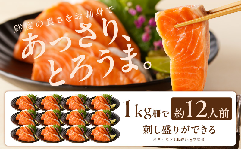 サーモン 定期便 1kg×全3回【ポーション 訳あり サイズ不揃い 刺身 海鮮丼 さーもん サラダ カルパッチョ 鮭 さけ シャケ しゃけ 人気 小分け 冷凍 家計応援 大阪 泉佐野 大阪府 泉佐野市