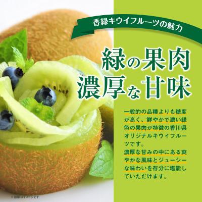 ふるさと納税 高松市 【先行受付2025年】ご家庭用香緑キウイ(小玉)　約3kg |  | 02