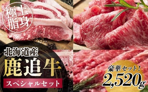 
鹿追牛　スペシャルセット 2,520g【ふるさと納税 人気 おすすめ ランキング 牛 肉 牛肉 牛ヒレ 牛すき焼き ビーフ ロース ステーキ すき焼き 焼肉 大容量 ミート 北海道 鹿追町 送料無料】 SKA018
