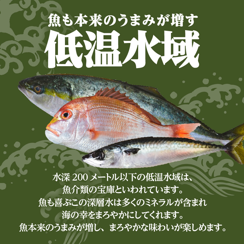 【海幸】簡単・便利 お魚惣菜 6種 詰め合わせ（FO-2）　K065-006