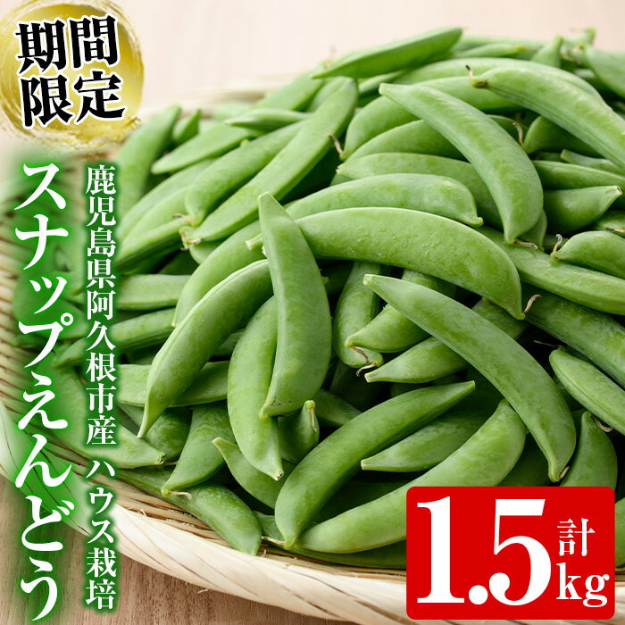 【ふるさと納税】＜先行予約受付中！2025年12月中旬以降順次発送予定＞期間限定！スナップえんどう(計1.5kg)国産 鹿児島県産 ハウス栽培 野菜 豆【東新グリーンファーム合同会社】akn062-02