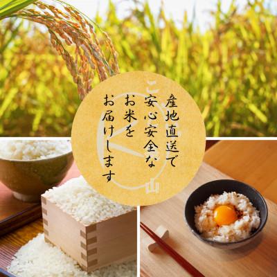 ふるさと納税 南丹市 【毎月定期便】にじのきらめき 精米 10kg(5kg×2袋) 美山町産 こと美山米全6回 |  | 03