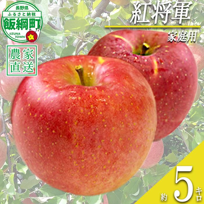 りんご 紅将軍 家庭用 5kg 永野農園 沖縄県への配送不可 2026年9月下旬頃から2026年10月上旬頃まで順次発送予定 令和8年度収穫分 信州 果物 フルーツ リンゴ 林檎 長野 予約 農家直送 長野県 飯綱町 [1556]