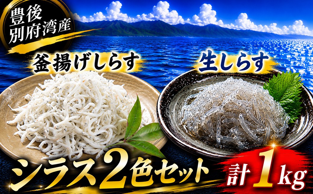 
                  シラス 二色 食べ比べ セット 計 1kg （釜揚げしらす・生しらす） 国産 添加物不使用 ／ 釜揚げしらす 生しらす 食べ比べ 1kg セット 1キロ かまあげしらす カマアゲシラス なましらす ナマシラス しらす シラス  国産 小分け シラス丼 海鮮丼 おつまみ 冷凍 冷凍配送 ＜108-241＞
                