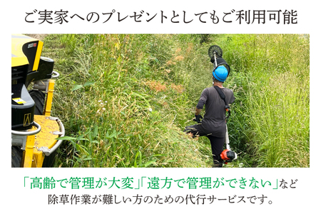 DQ001 【要事前連絡】草刈り、除草作業サービス（農地、空き地、空き家等）