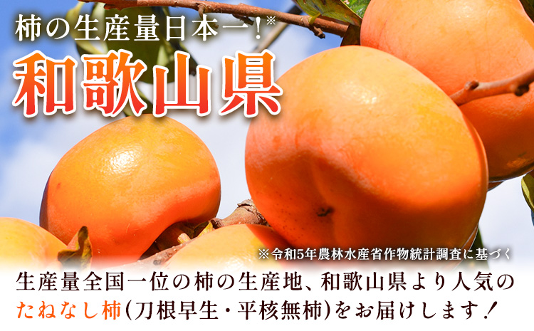 ＜10月より発送＞たねなし柿 約5kg 刀根早生 平核無柿 ひらたねなしかき 池田鹿蔵農園《10月上旬-12月上旬頃出荷》 和歌山県 日高町 柿 カキ かき たねなし ジューシー フルーツ 種無柿 種