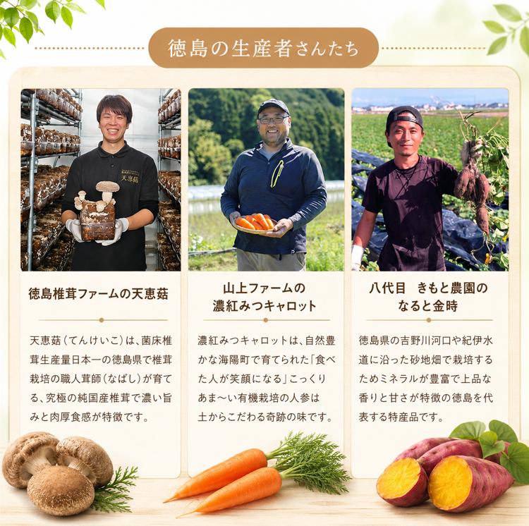 ドッグフード 6パック 100g入り 《人が食べられる品質!》 ペット ペットフード ドッグ 犬用 ペット用品 レトルト 阿波尾鶏 鶏肉 鹿肉 ジビエ 鯛 人参 しいたけ なると金時 徳島 ペロッとワ