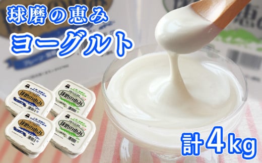 とろ～り食感!!球磨の恵みヨーグルトセット1kg×4パック (加糖・砂糖不使用 各2パック)