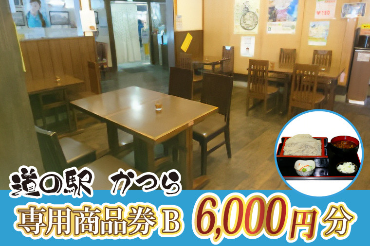 
            道の駅かつら専用商品券B　6,000円分(500円×12枚のセット) (AF008)
          