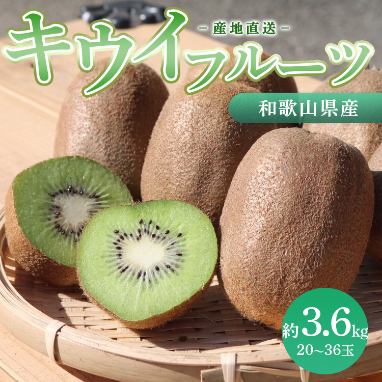 【先行予約】和歌山県産 キウイフルーツ 約3.6kg（20～36玉）秀品 M～4Lサイズ混合 フルーツ キウイ