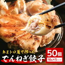 【ふるさと納税】 あまトロ葱使用 でんねぎ餃子 50個 (10個×5パック) 茨城県産 林SPF豚 鹿嶋ダコ オホーツク産ホタテ 銚子産キャベツ 厳選素材使用 冷凍餃子 旨味たっぷり 簡単調理 茨城県 潮来市 (A38-001)