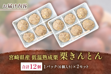 [迎春特別企画]栗きんとん 6個入り 2セット ※2025年12月28日出荷【N82】