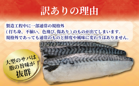 訳あり 塩サバ フィーレ 約3.5kg 冷凍 おかず 惣菜 鯖 さば 魚 海鮮 大容量 銚子 訳あり 大人気サバ 訳あり 人気サバ 訳あり 海鮮サバ 訳あり 冷凍サバ 訳あり 塩 サバ 訳あり 切り身