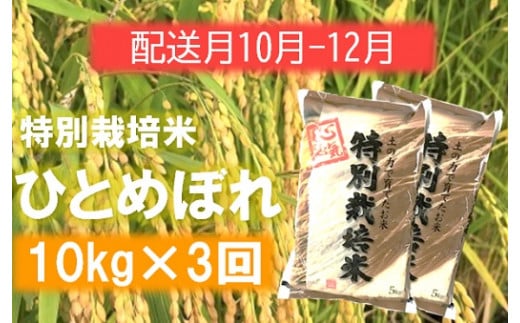 定期便3回【10月11月12月】エコファーマーのひとめぼれ10kg×3回
