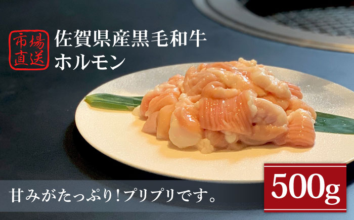 産黒毛和牛 ホルモン 500g【山下牛舎】 [HAD108] 牛肉