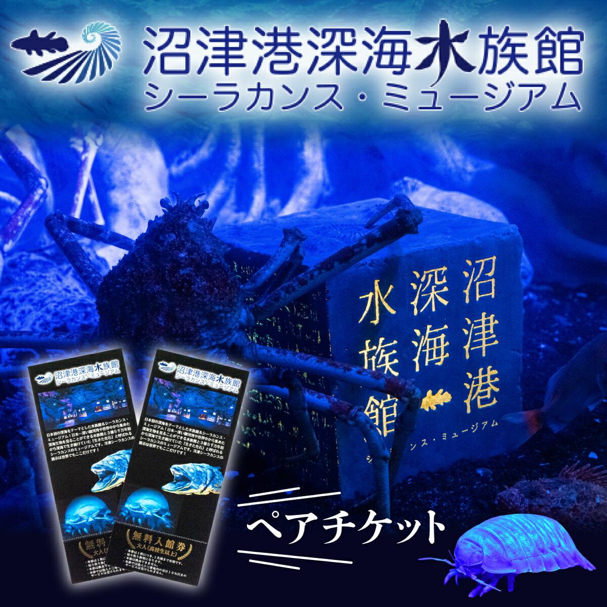 沼津港深海水族館 ペア チケット 大人2名 沼津港 シーラカンス ミュージアム プレゼント 贈答 ギフト観光 旅行 静岡県 沼津市