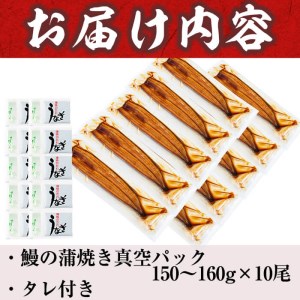 うなぎの大楠＜大＞10尾セット計1.5kg(150g×10) f7-001