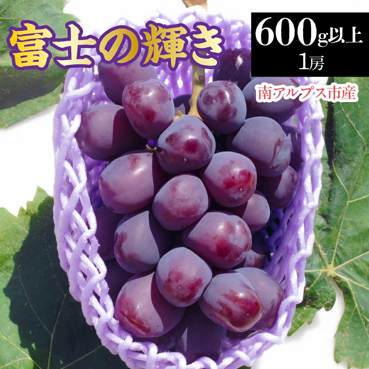 【ふるさと納税】 【2026年発送先行予約】南アルプス市産　富士の輝き1房(600g以上) ふるさと納税 葡萄 ぶどう 果物 フルーツ おすすめ 山梨県 南アルプス市 送料無料 ALPDD021