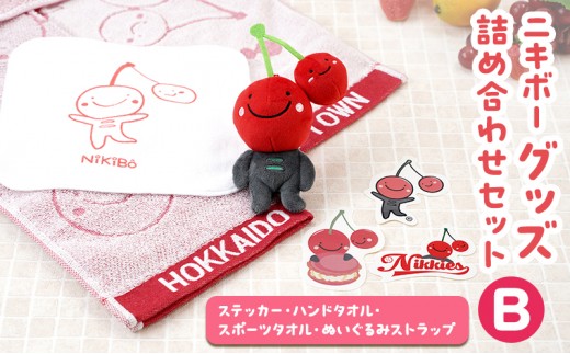 
            【ニキボー】グッズ詰め合わせセットB（ステッカー・ハンドタオル・スポーツタオル・ぬいぐるみストラップ）【 仁木町 ご当地 ゆるキャラ タオル 雑貨 小物 日用品 】[仁木町観光協会]
          