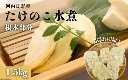 国産 たけのこ 水煮 根本部分 1.5kg  タケノコ 竹の子 長期保存 真空パック 15005-40001078-k