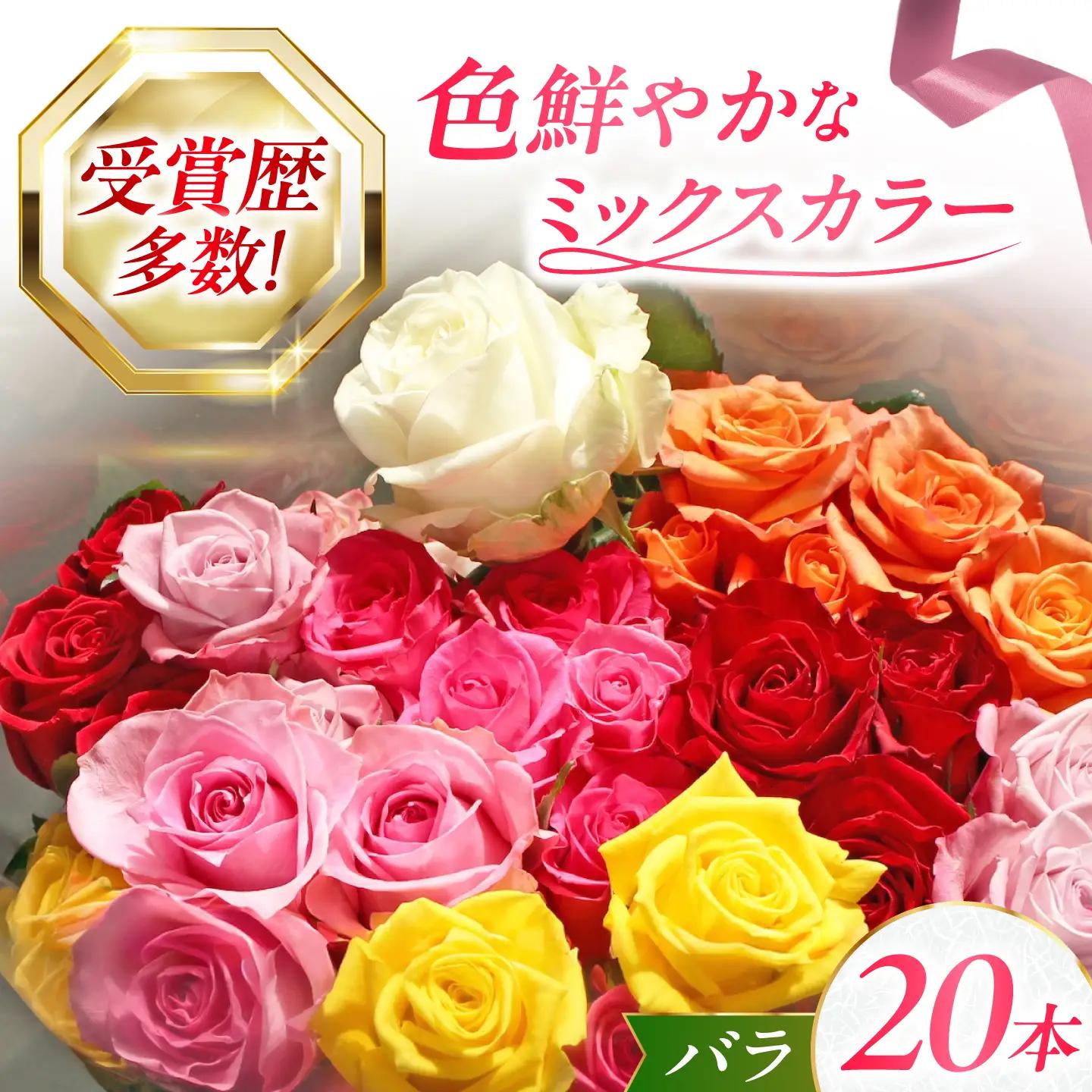 バラ 20本[XDC002] 花束