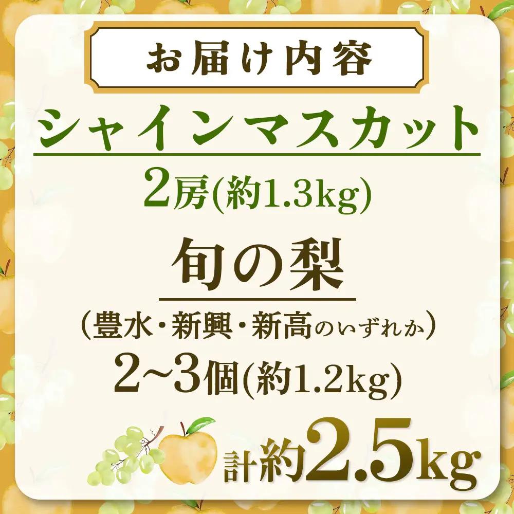 ぶどう 旬の梨とシャインマスカット 食べ比べセット 約2.5kg