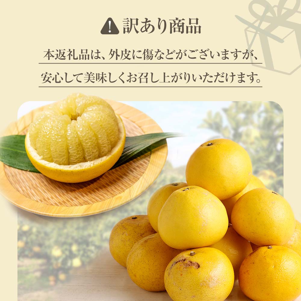 先行予約 訳あり オレンジ園の柑橘3種（ぽんかん・文旦・小夏）各10kg 3回定期便 ポンカン ぶんたん こなつ 果物 蜜柑 みかん ミカン 柑橘 フルーツ デザート 国産 常温 配送【J00103】