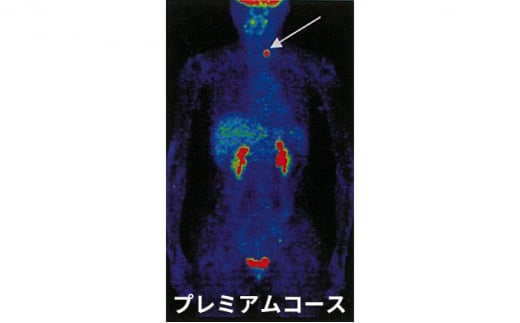 
P1 プレミアムコース [№5704-0596]

