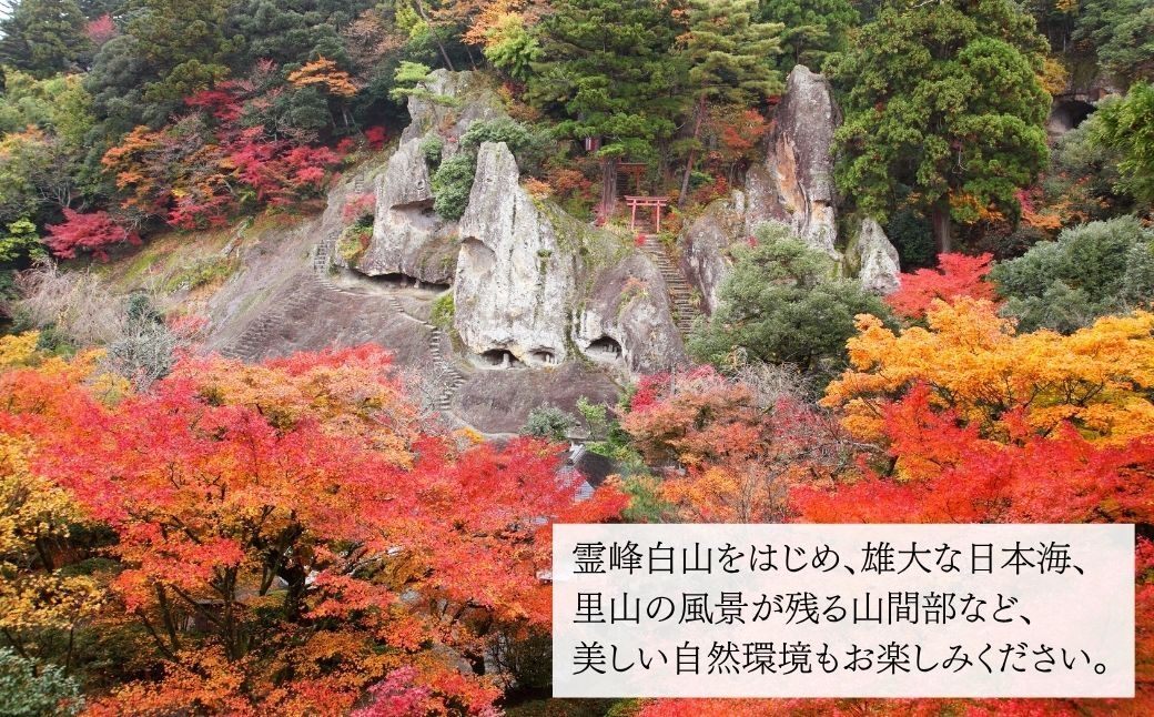 甘えびの香りと風味をお楽しみください。