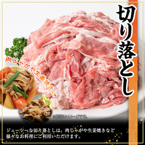 鹿児島県産豚肉3種(切り落とし・バラスライス・とんかつ)セット(合計2.9kg)  豚肉 切り落とし スライス【株式会社羽根】A727