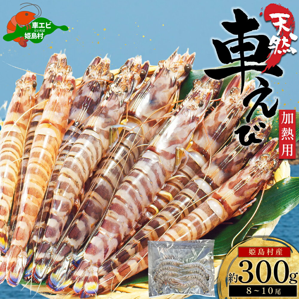 【ふるさと納税】天然 希少 数量限定 姫島産 車えび (冷凍) 300g 8~10尾大分県 姫島村 姫島 B22