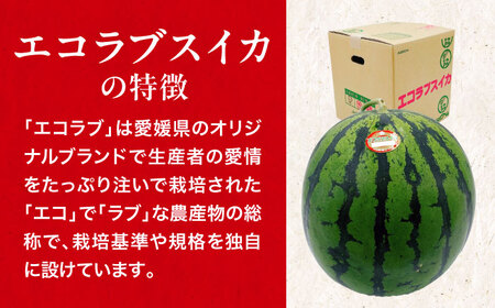 愛媛県産 エコラブスイカ 特1玉 愛媛県大洲市/株式会社フジ・アグリフーズ すいか スイカ くだもの フルーツ [AGBA017] 果物 すいか