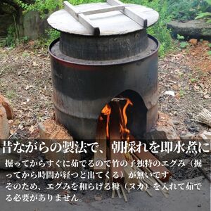 国産 たけのこ 水煮 900g 朝採れを即加工 タケノコ 竹の子 筍 小分け 長期保存 真空パック たけのこご飯 煮物に こだわりの逸品 地域特産品 ギフト 自分用 人気 おすすめ