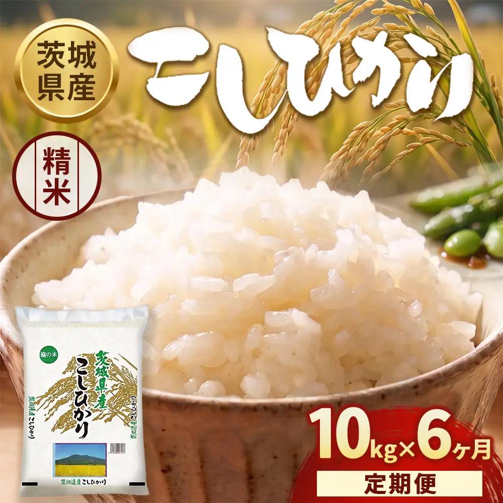 【定期便6ヶ月】【令和8年産】茨城コシヒカリ 10kg（5kg×2袋）【精米】 | お米 米 こしひかり 茨城県産 白米 ブランド米 小分け
