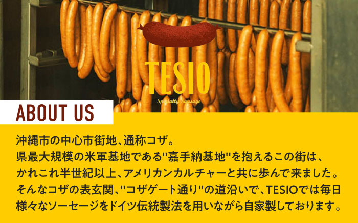【全6回定期便】【ふるさと納税限定】TESIOの自家製フランク＆ボローニャセット (計380g) 豚肉 ハム ソーセージ 小分け 真空パック 沖縄市 / TESIO [BCAD017]