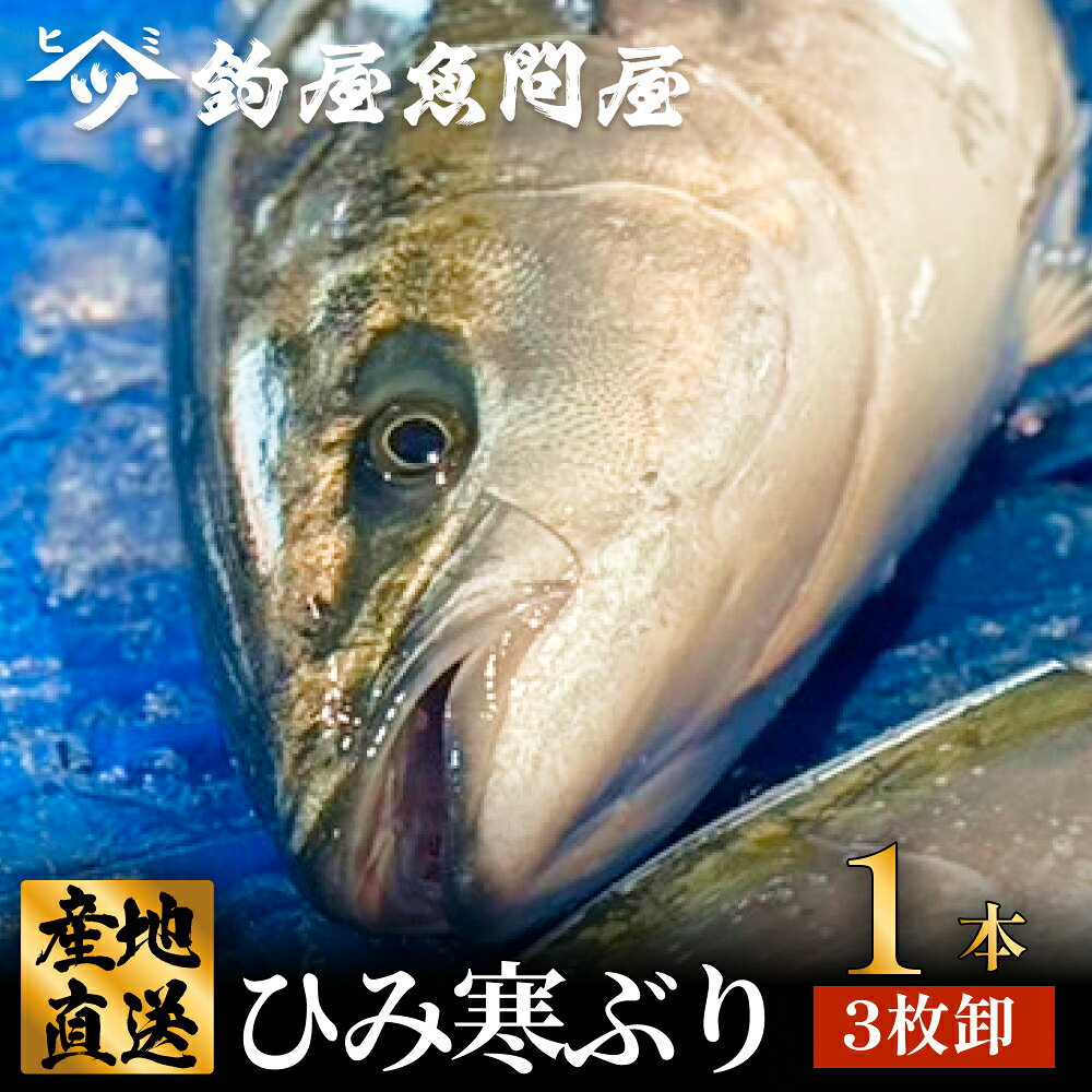 【ふるさと納税】【先行予約】 【期間限定】ひみ寒ぶり1本（3枚おろし) 富山県 氷見 氷見漁港 能登 寒ブリ 1本 天然鰤 処理 3枚卸 釣屋魚問屋 天然 鮮魚 ブリ 産地直送