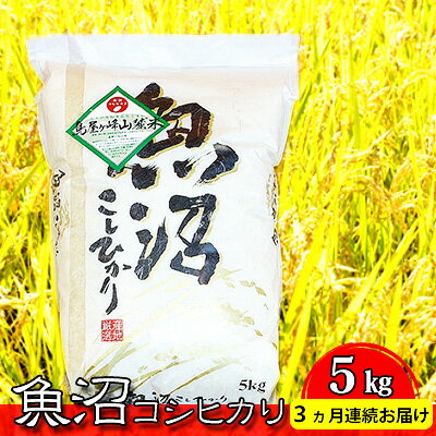 【ふるさと納税】魚沼コシヒカリ 鳥屋ヶ峰山麓米（精米）5kg 3ヶ月連続お届け お米 新潟県産 　お届け：寄附入金月の翌月より発送