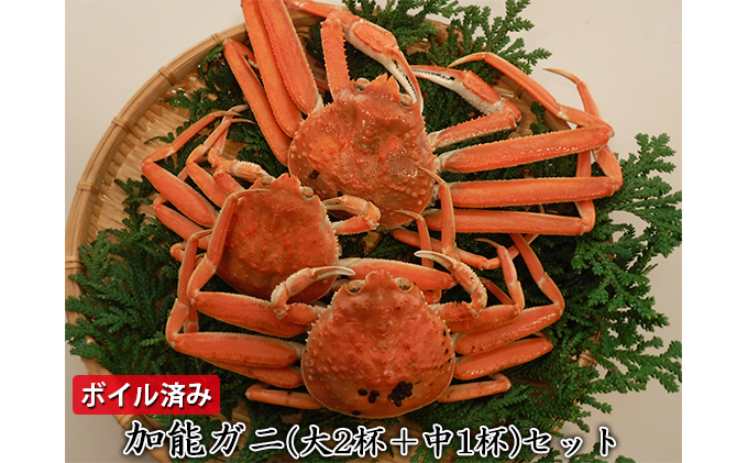 【ボイル済み】加能ガニ（大2杯＋中1杯）セット