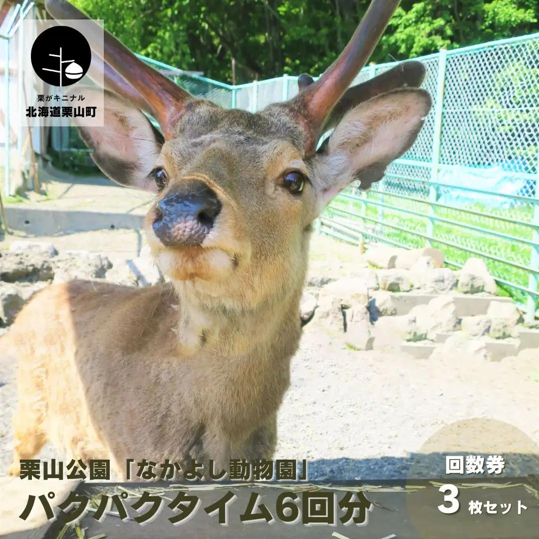 栗山公園「なかよし動物園」パクパクタイム回数券（6回分）3枚セット